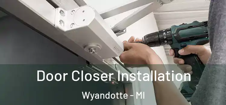  Door Closer Installation Wyandotte - MI