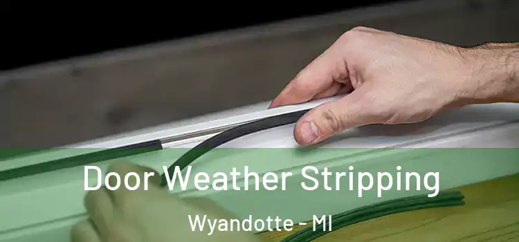  Door Weather Stripping Wyandotte - MI